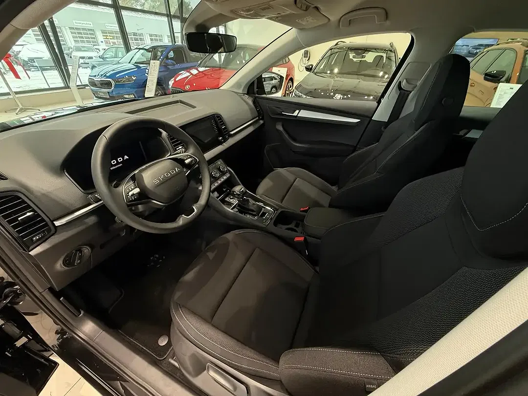 Skoda Karoq - Thumbnail 11