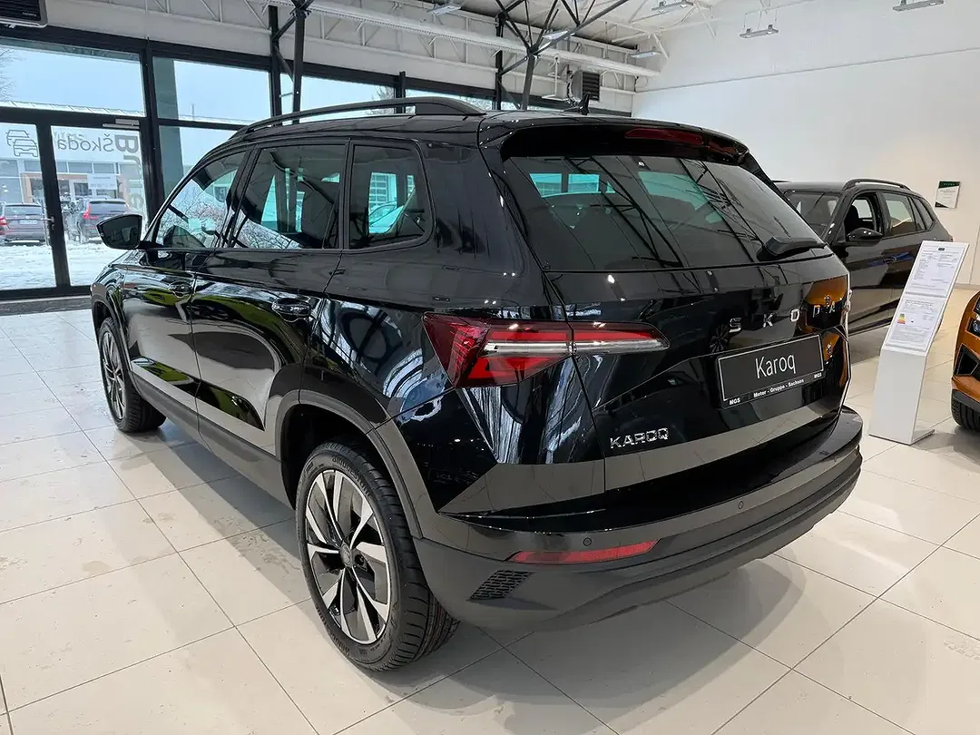 Skoda Karoq - Thumbnail 12