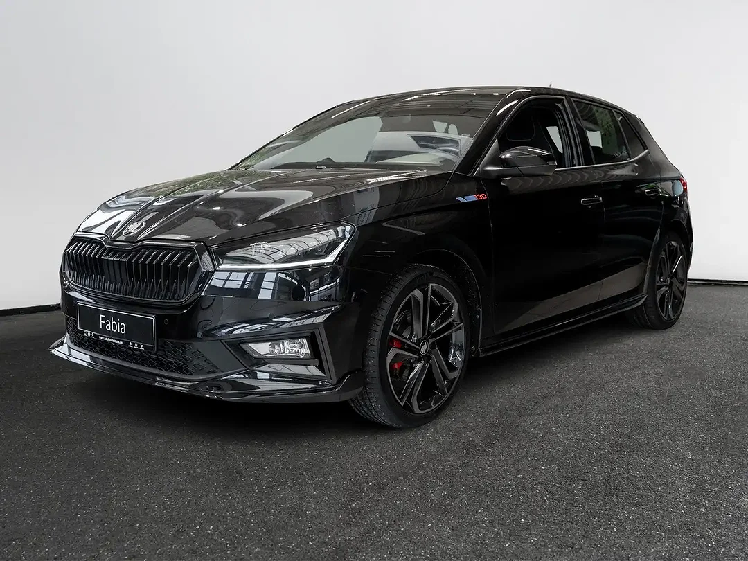 Skoda Fabia - Afbeelding 1