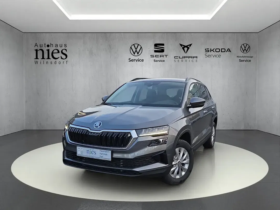 Skoda Karoq - Thumbnail 1