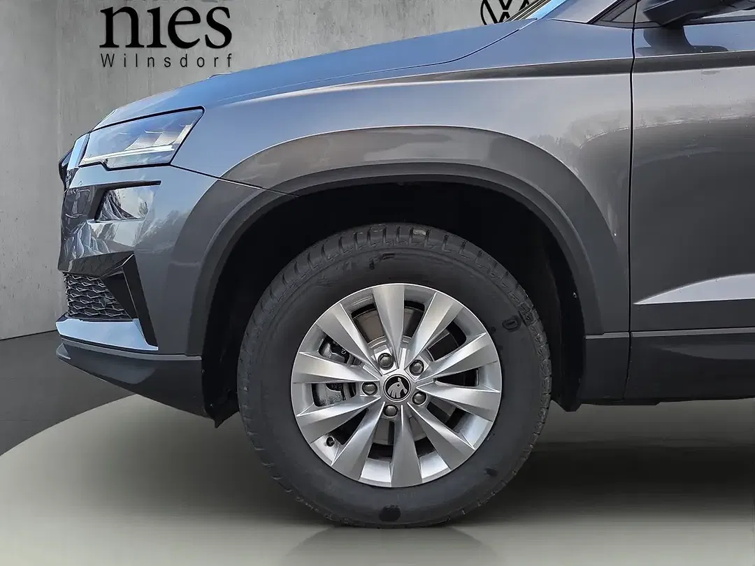Skoda Karoq - Thumbnail 13