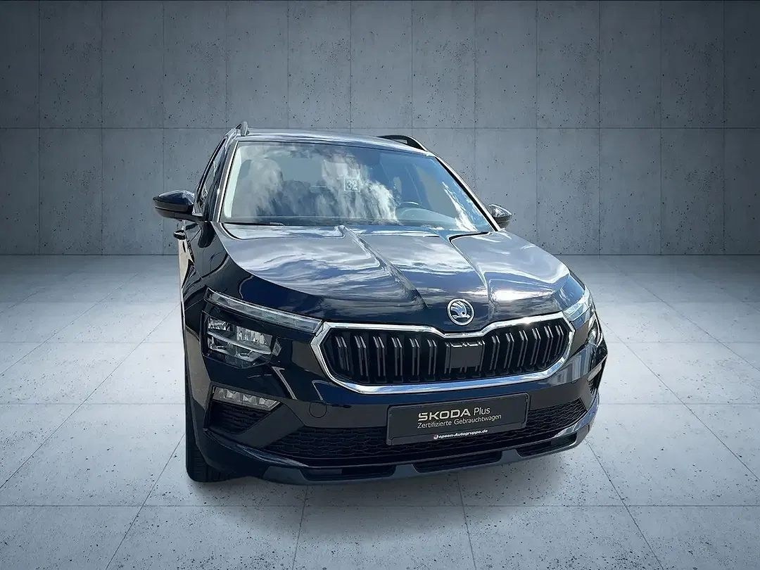 Skoda Kamiq - Thumbnail 8