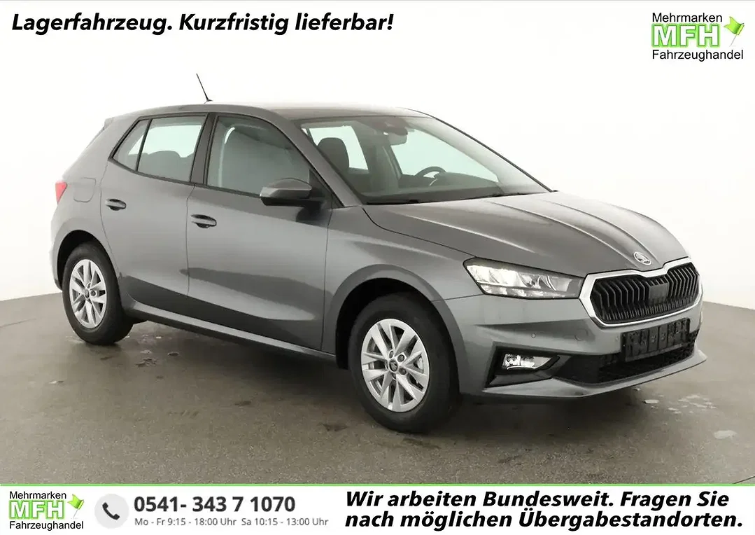 Skoda Fabia - Afbeelding 1