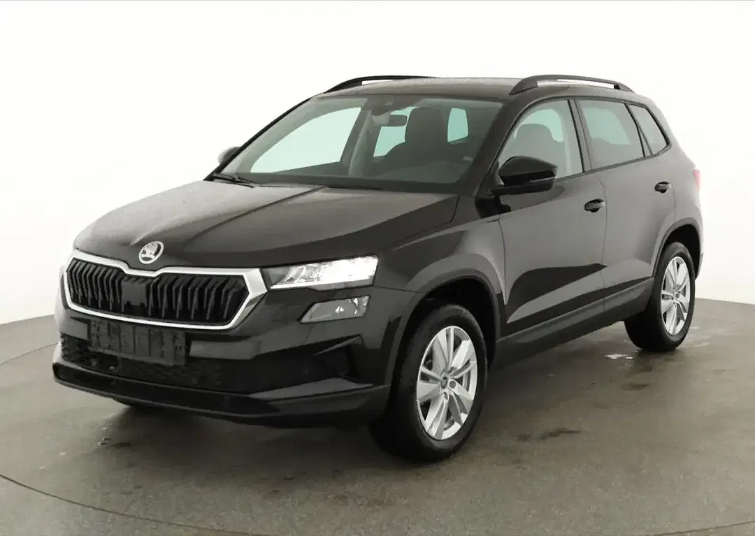 Skoda Karoq - Thumbnail 1