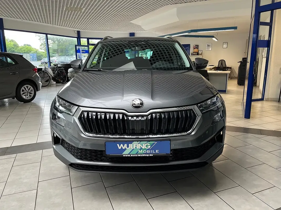 Skoda Karoq - Thumbnail 6