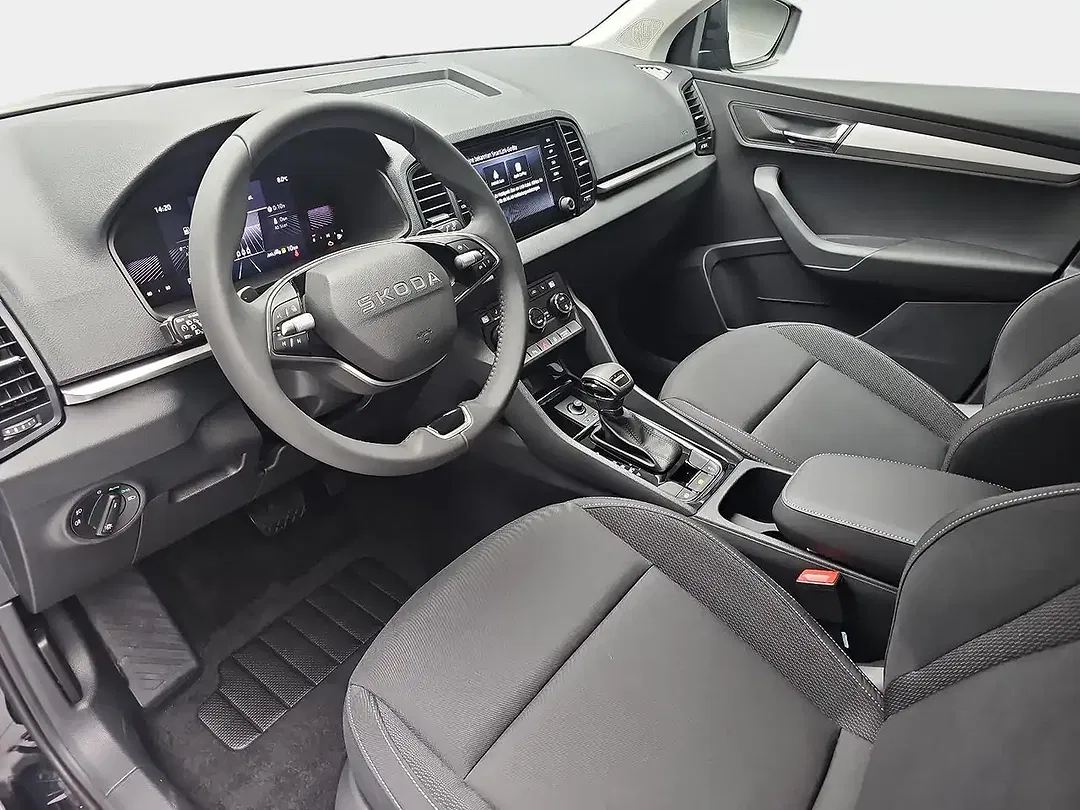 Skoda Karoq - Thumbnail 19