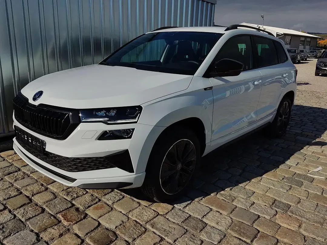 Skoda Karoq - Thumbnail 1