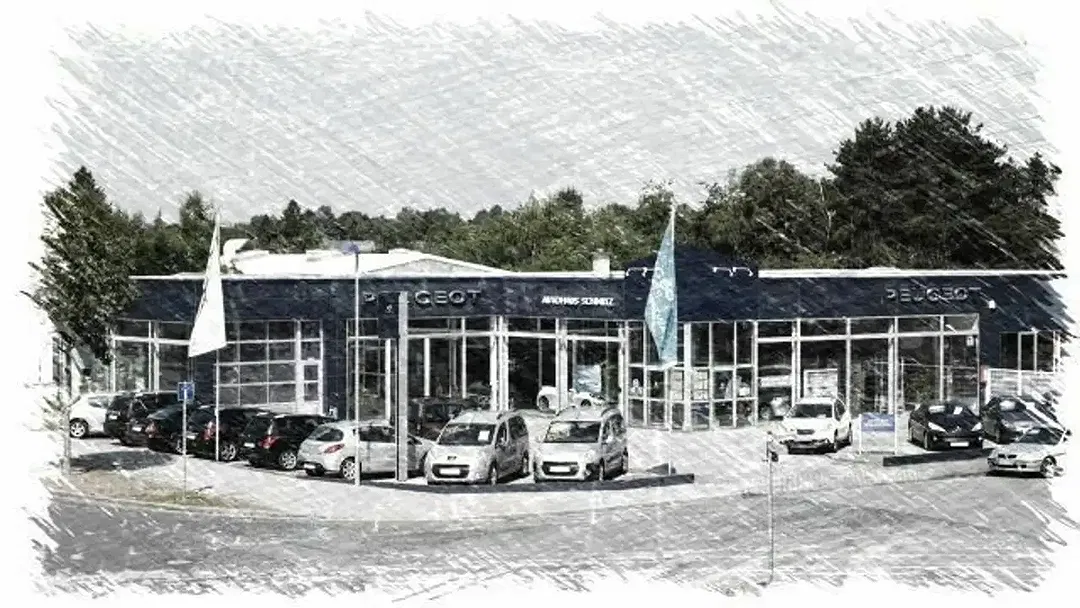 Peugeot 3008 - Thumbnail 21