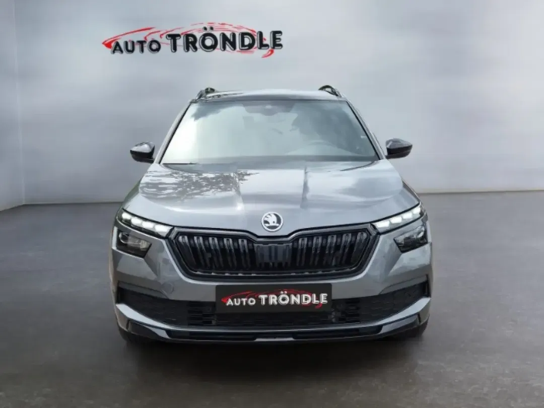 Skoda Kamiq - Thumbnail 2