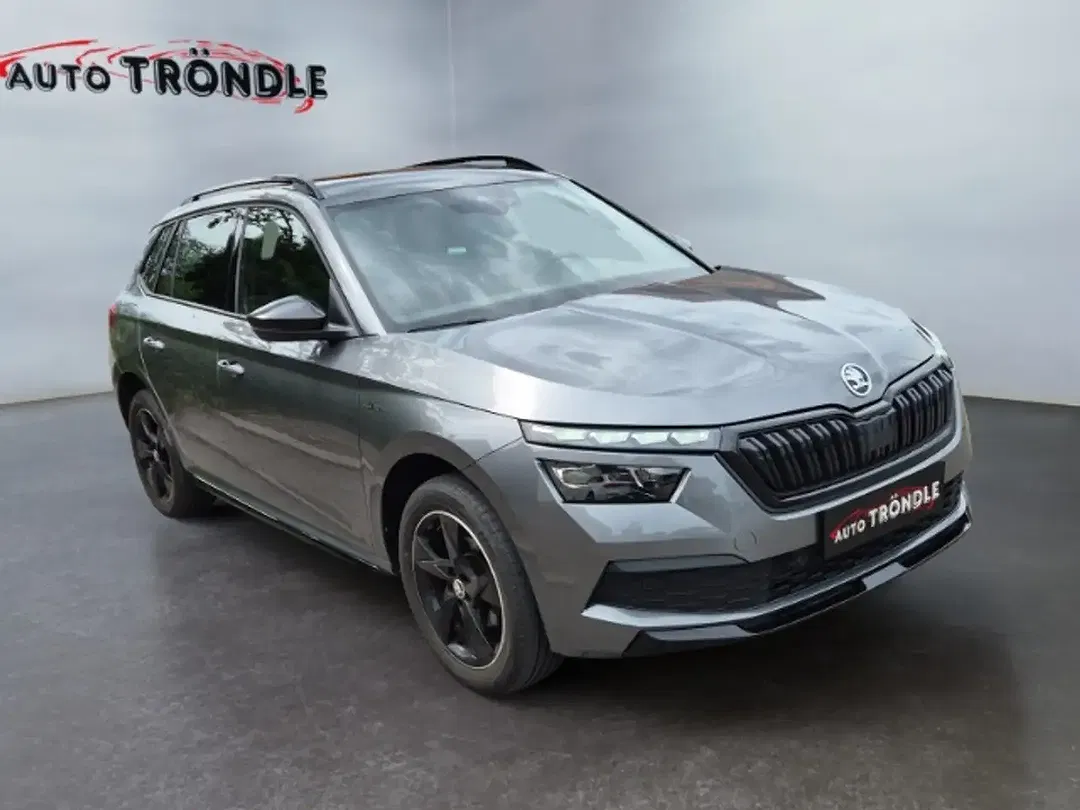 Skoda Kamiq - Thumbnail 3