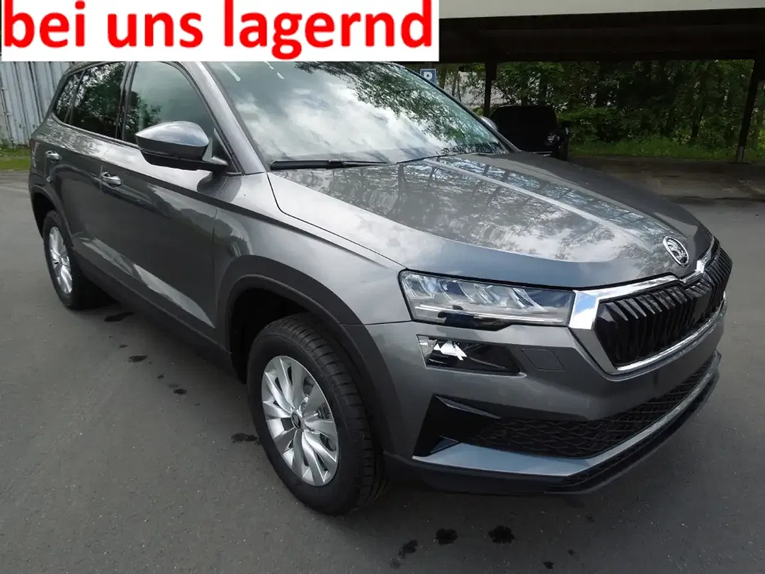 Skoda Karoq - Thumbnail 1