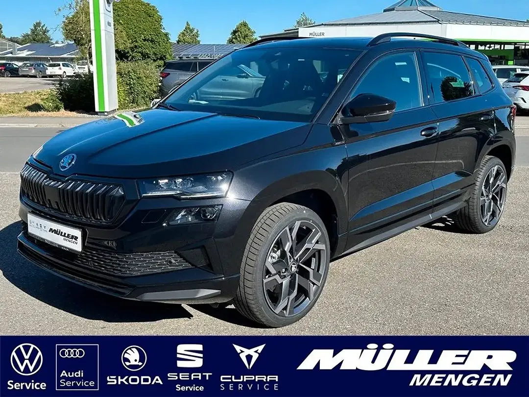 Skoda Karoq - Thumbnail 1