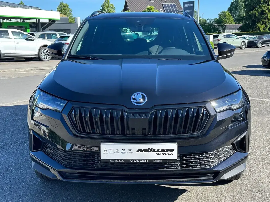 Skoda Karoq - Thumbnail 2
