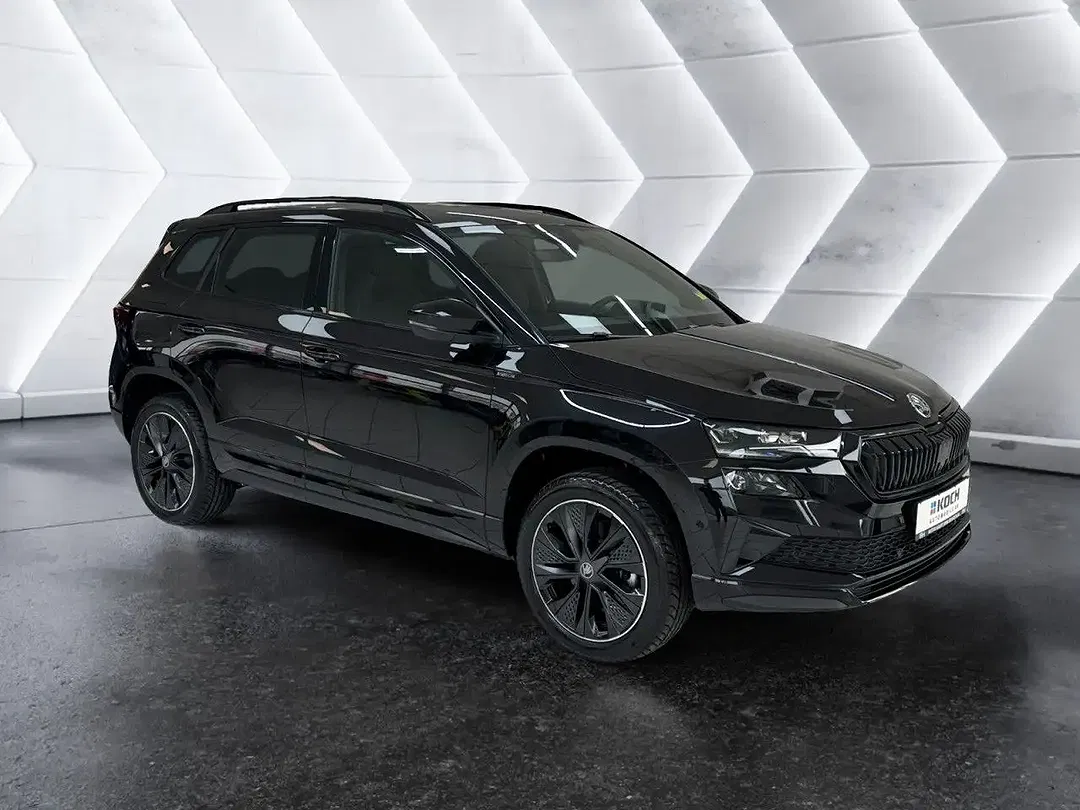 Skoda Karoq - Thumbnail 3