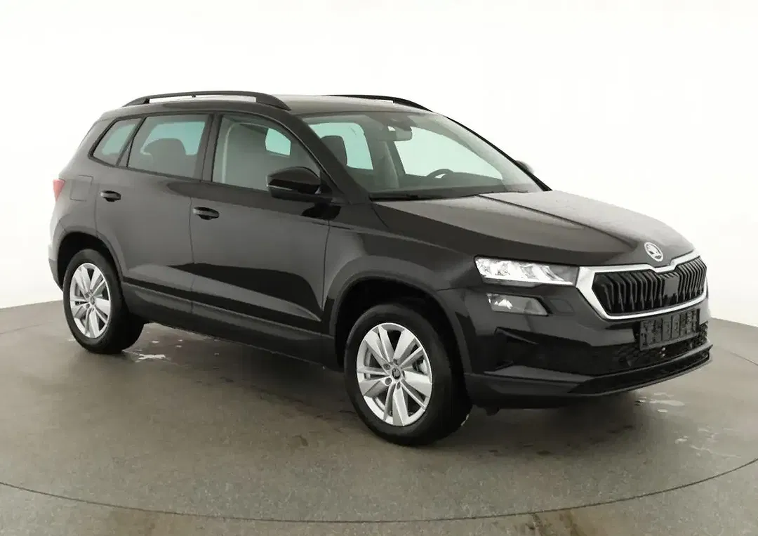 Skoda Karoq - Thumbnail 1
