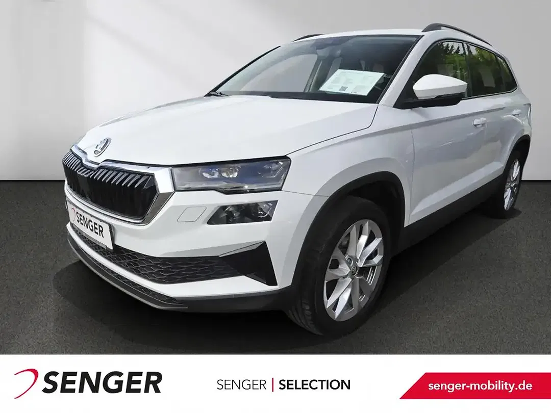 Skoda Karoq - Thumbnail 1