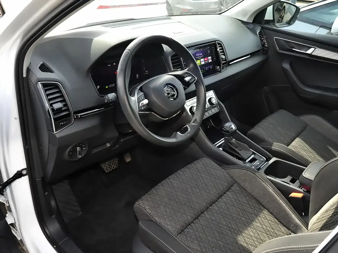 Skoda Karoq - Thumbnail 11