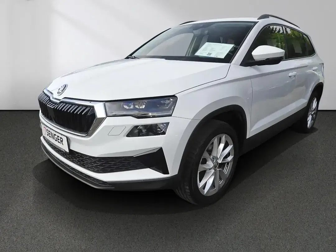 Skoda Karoq - Thumbnail 12