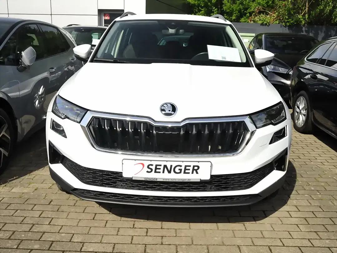 Skoda Karoq - Thumbnail 2