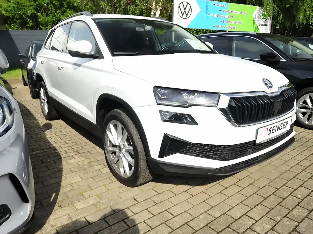 Skoda Karoq - Thumbnail 3