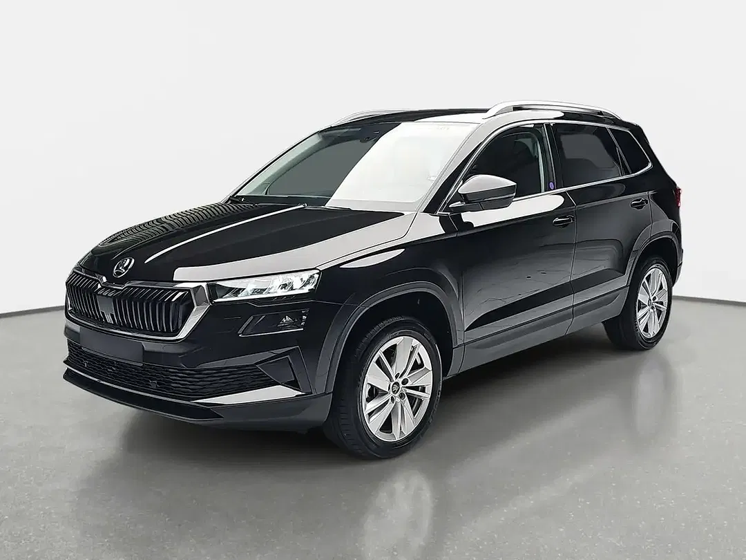 Skoda Karoq - Thumbnail 1
