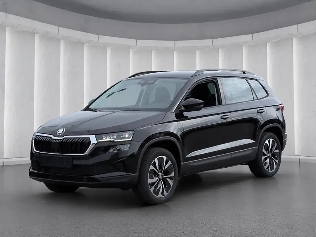 Skoda Karoq - Thumbnail 1