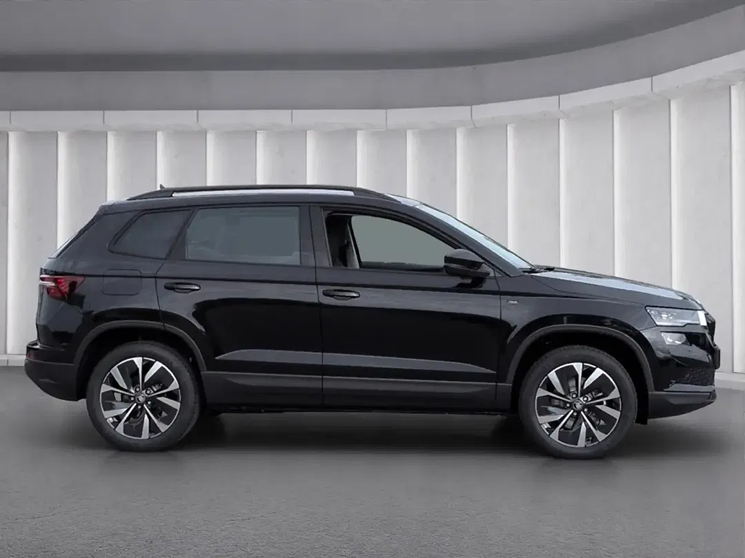 Skoda Karoq - Thumbnail 2