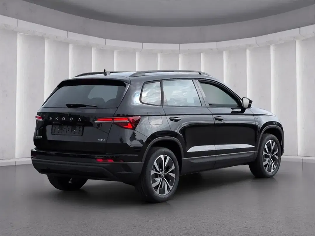 Skoda Karoq - Thumbnail 3