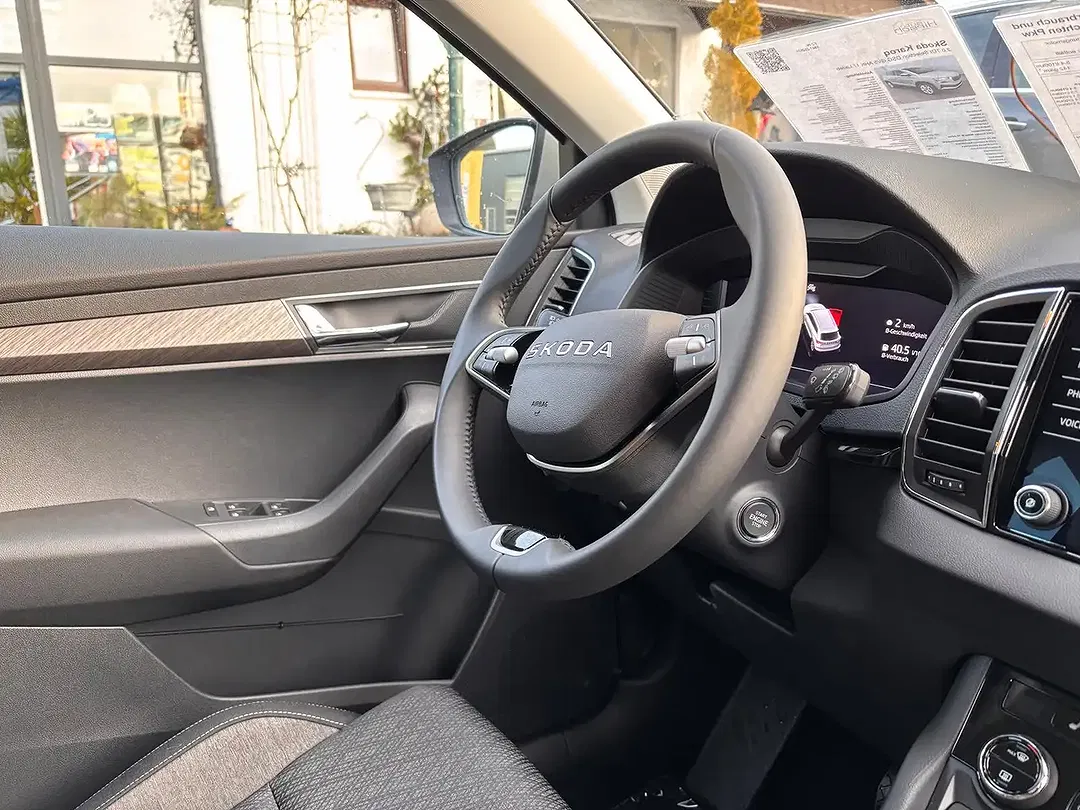 Skoda Karoq - Thumbnail 8