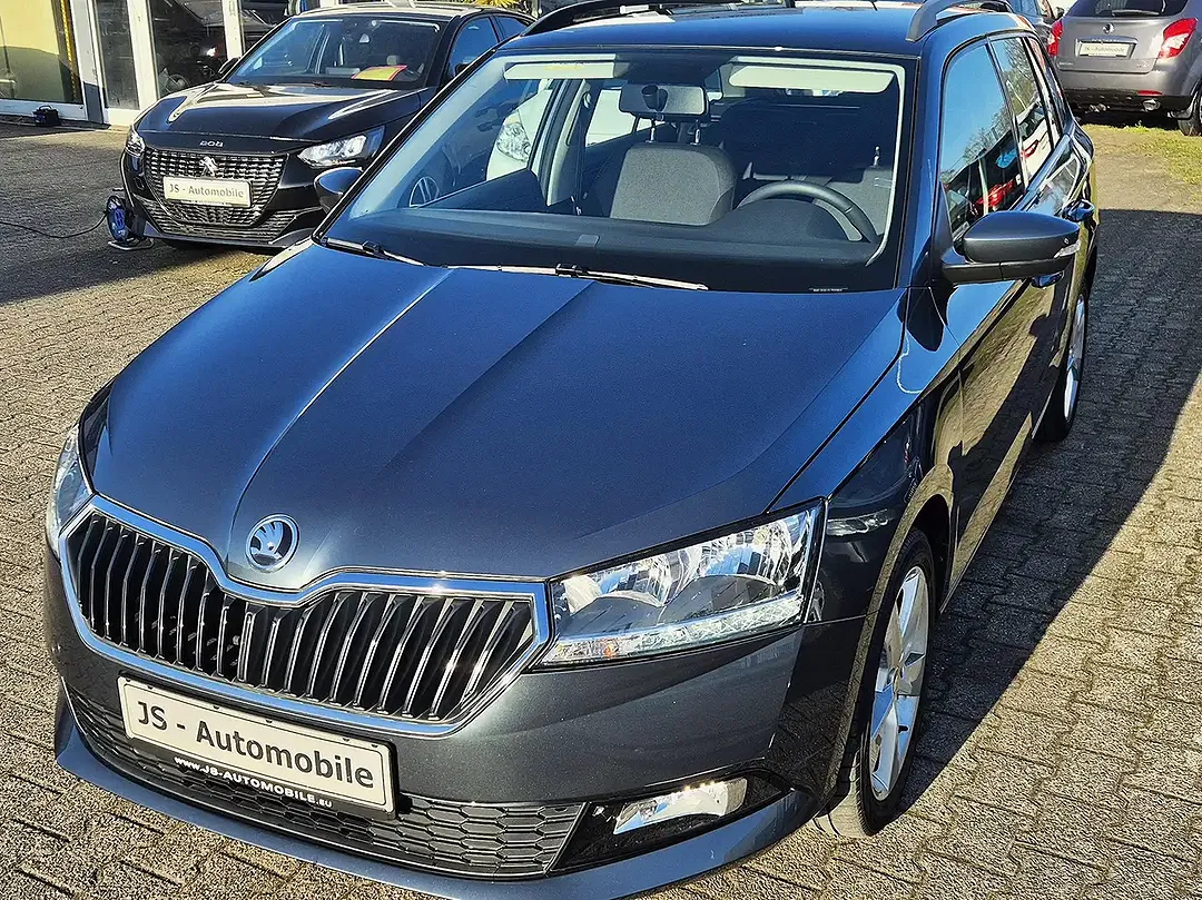 Skoda Fabia - Thumbnail 1