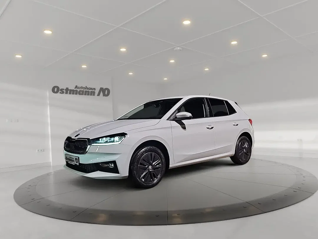 Skoda Fabia - Afbeelding 1