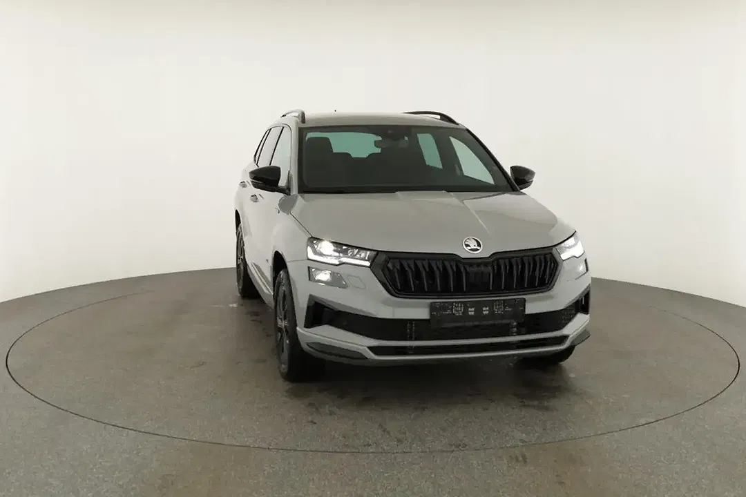 Skoda Karoq - Thumbnail 29