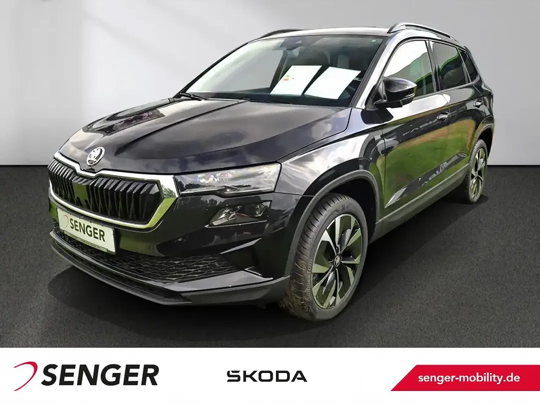 Skoda Karoq - Thumbnail 1