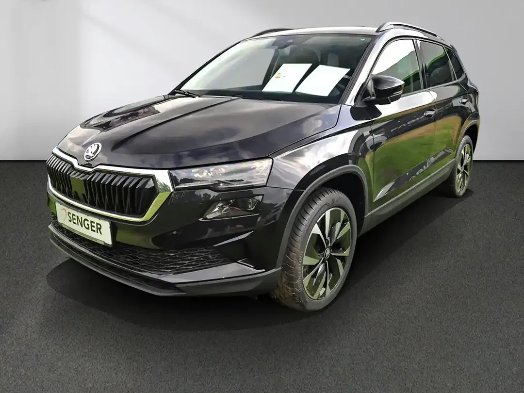 Skoda Karoq - Thumbnail 13