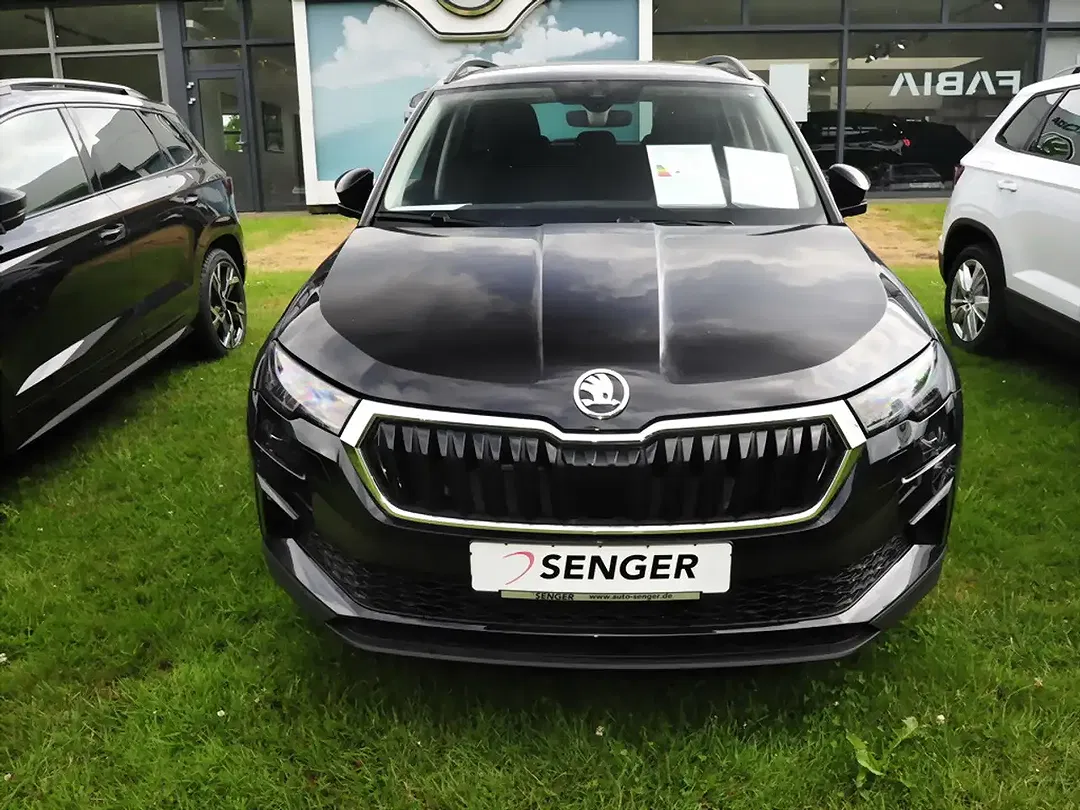 Skoda Karoq - Thumbnail 2