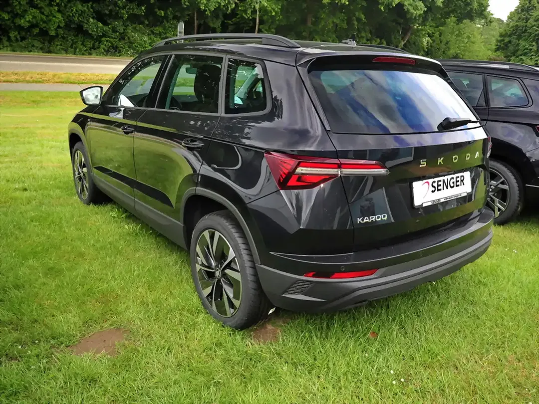 Skoda Karoq - Thumbnail 4