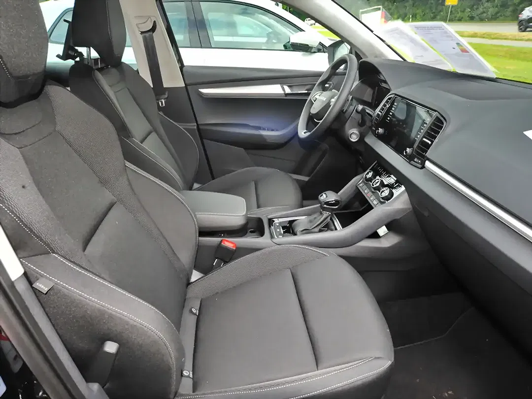 Skoda Karoq - Thumbnail 9