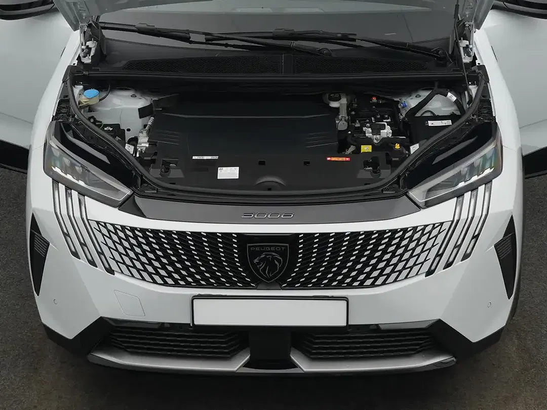 Peugeot 3008 - Thumbnail 5