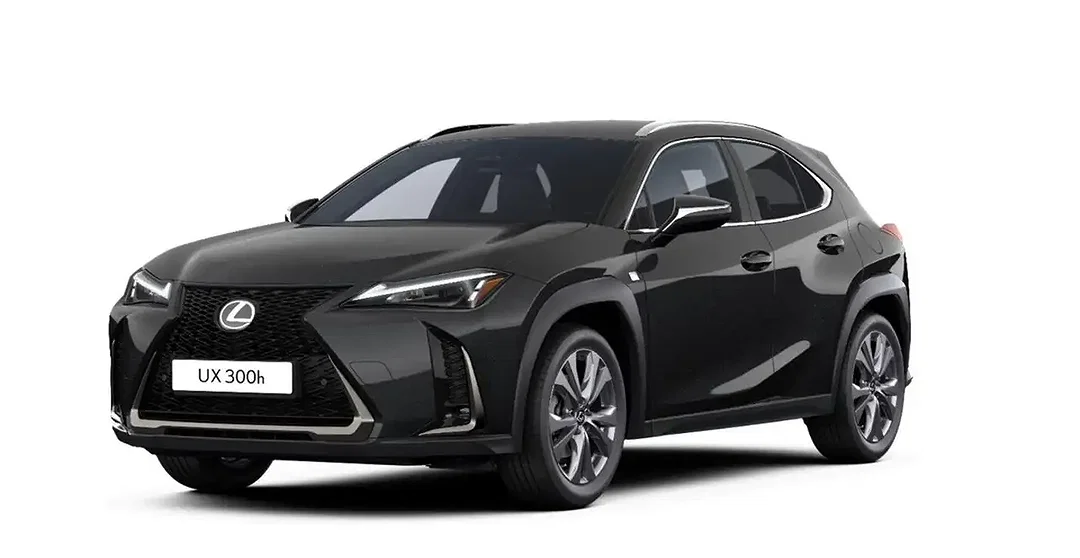Lexus UX 300h - Afbeelding 1