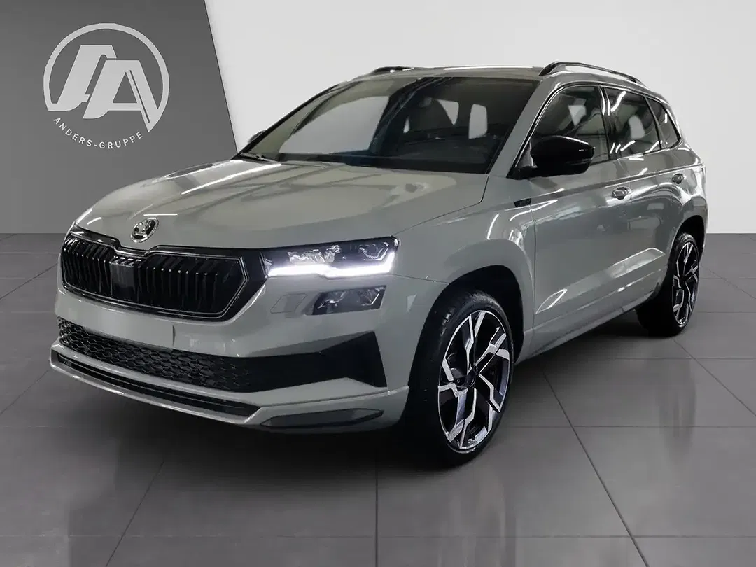 Skoda Karoq - Thumbnail 14