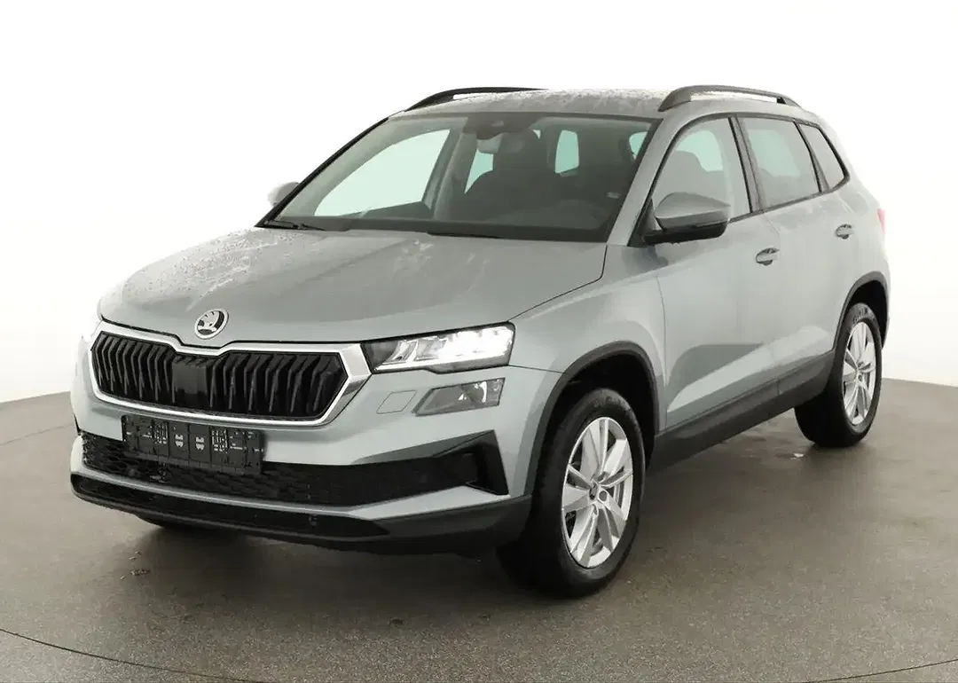 Skoda Karoq - Thumbnail 1