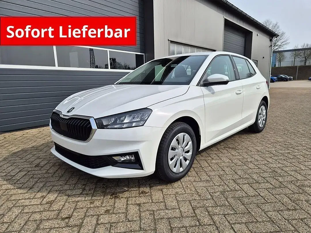 Skoda Fabia - Thumbnail 1