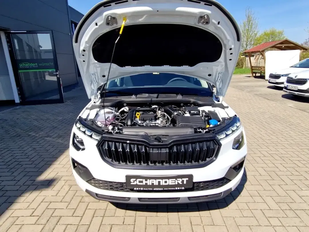 Skoda Kamiq - Thumbnail 15