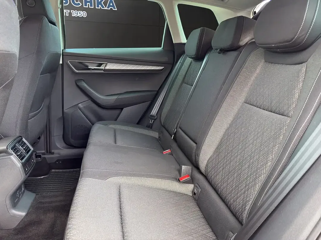 Skoda Karoq - Thumbnail 12