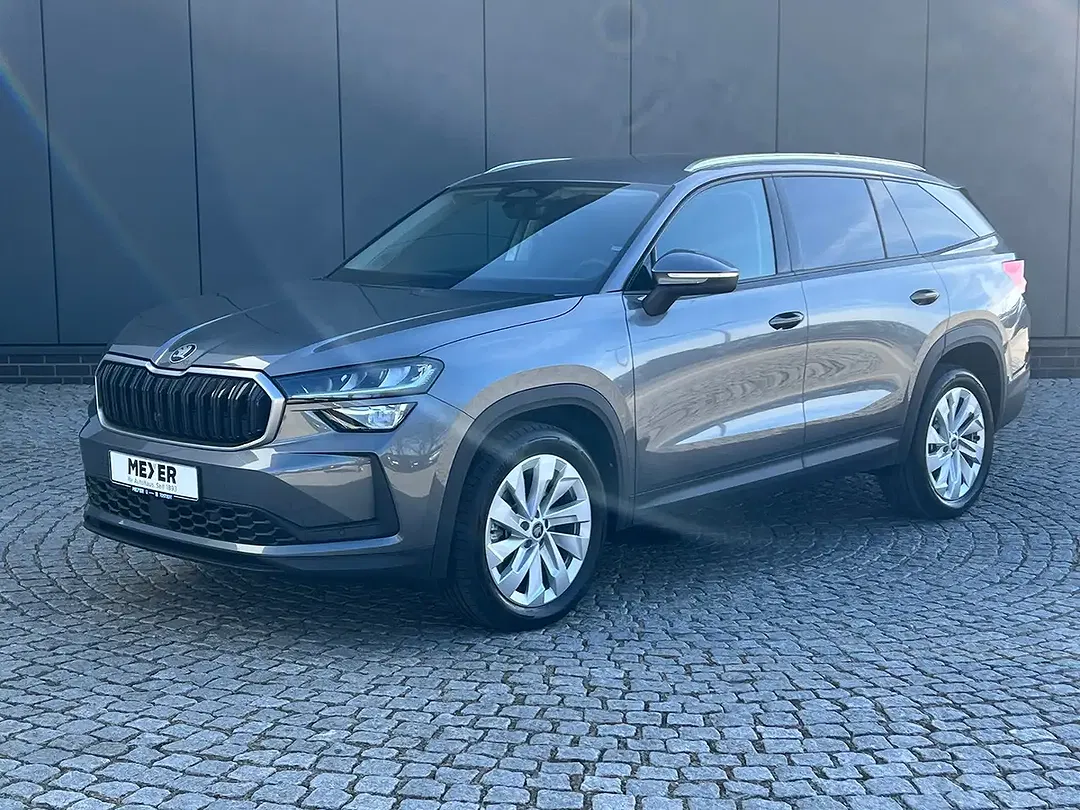 Skoda Kodiaq - Thumbnail 1