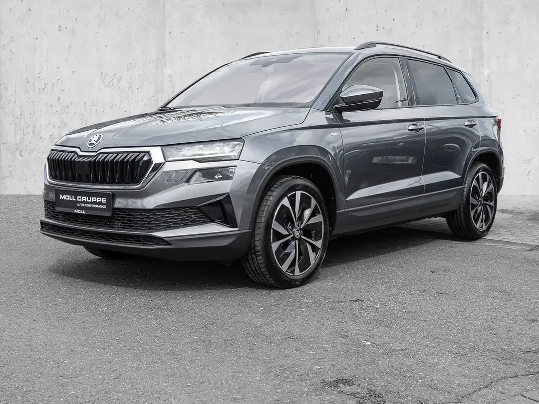 Skoda Karoq - Thumbnail 1