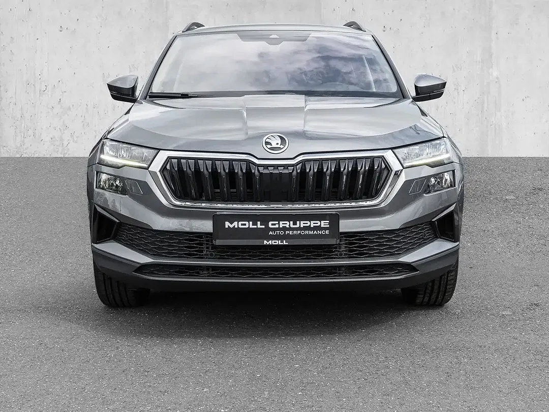 Skoda Karoq - Thumbnail 2
