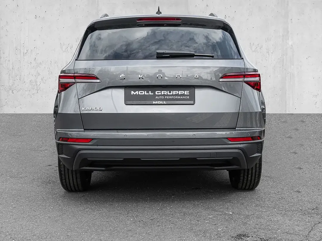 Skoda Karoq - Thumbnail 5