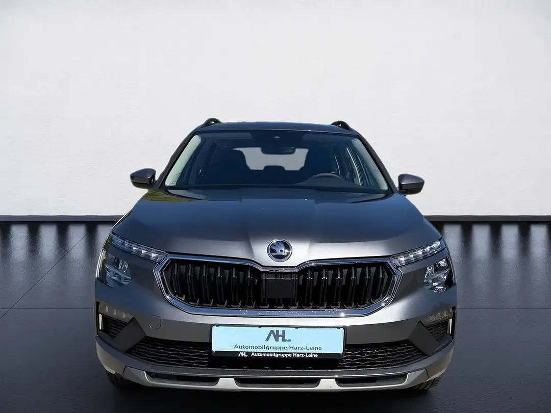 Skoda Kamiq - Thumbnail 8