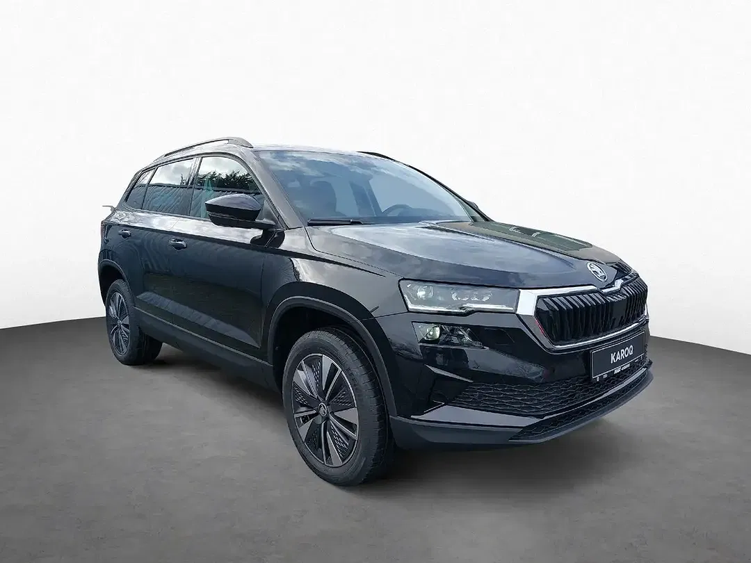 Skoda Karoq - Thumbnail 4